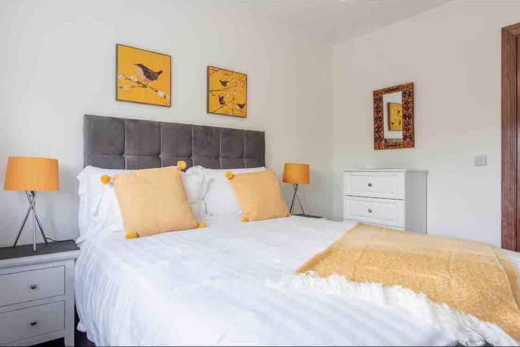 Wonderful Coastal Home In Dingle Town Extérieur photo